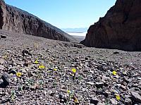vallée de la mort  (88).JPG
